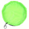 Vibrant Green