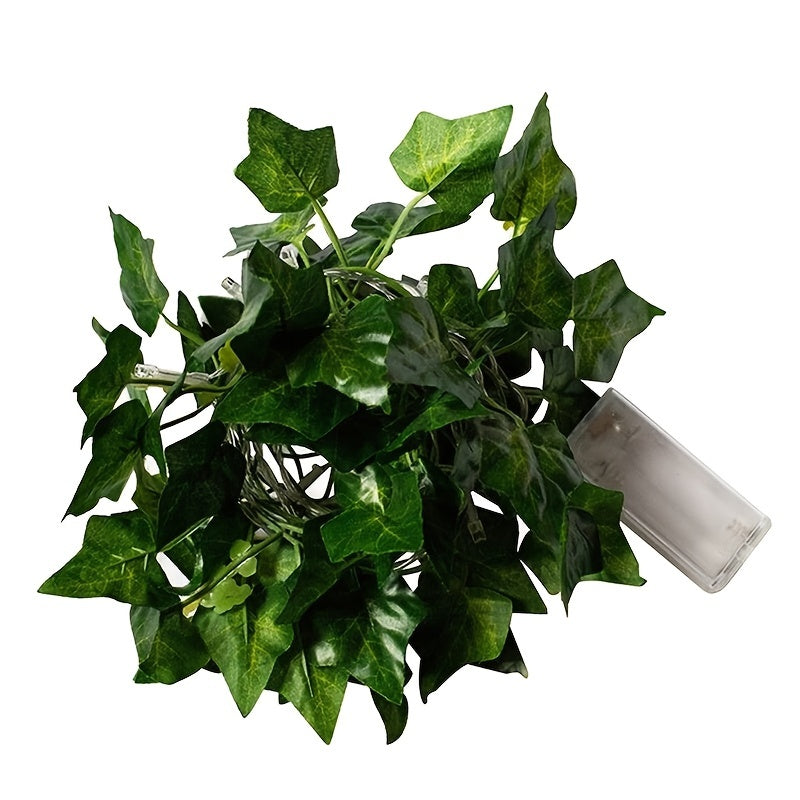 image5